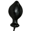 Anal Expert analplug base